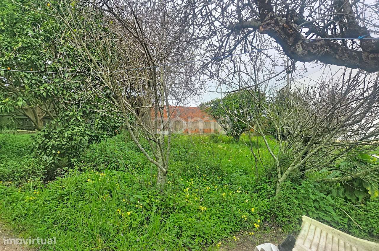 Moradia Lavos | Oportunidade| Investimento-9