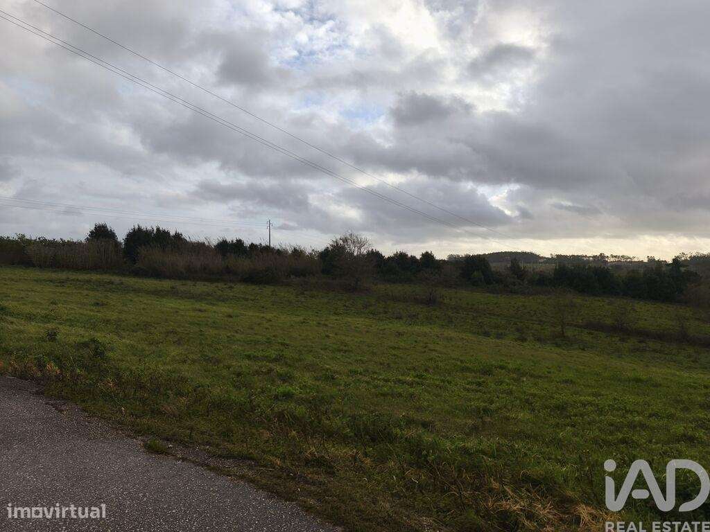 Terreno Agrícola em Cela - Grande imagem: 2/9