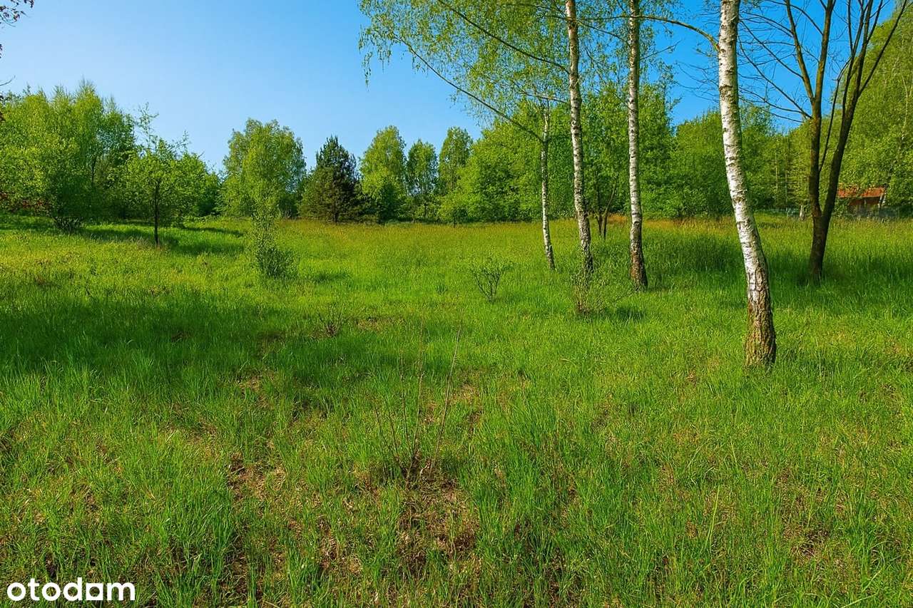 Działka pod dom w kameralnym miejscu blisko Gdańska - Pełny obrazek: 5/8