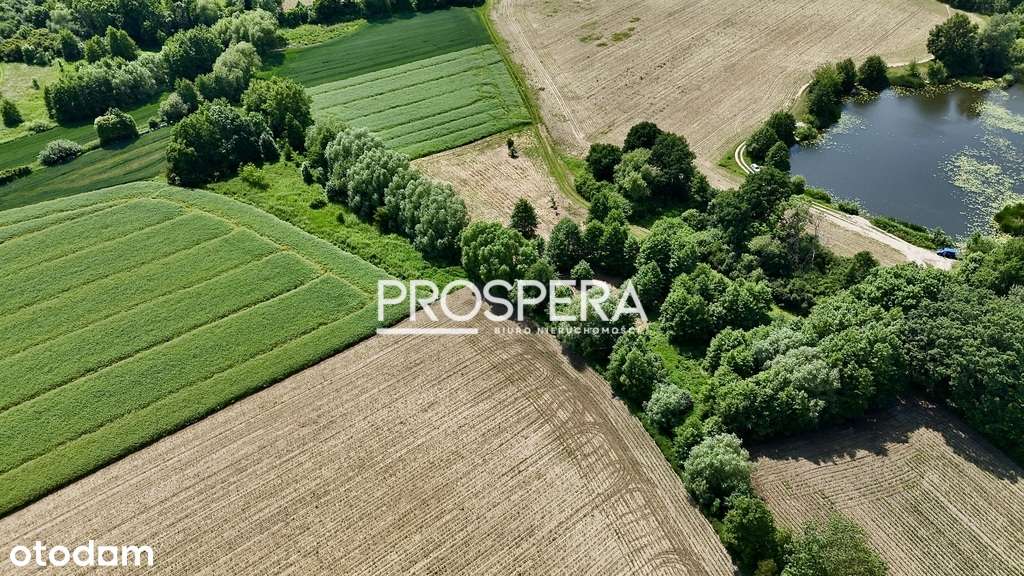 Działka rolna przy stawie w Wabienicach! - Pełny obrazek: 5/6