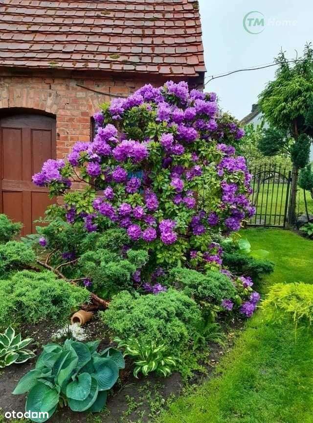 Liszkowo, mieszkanie z ogrodem, garażem w domu.-4