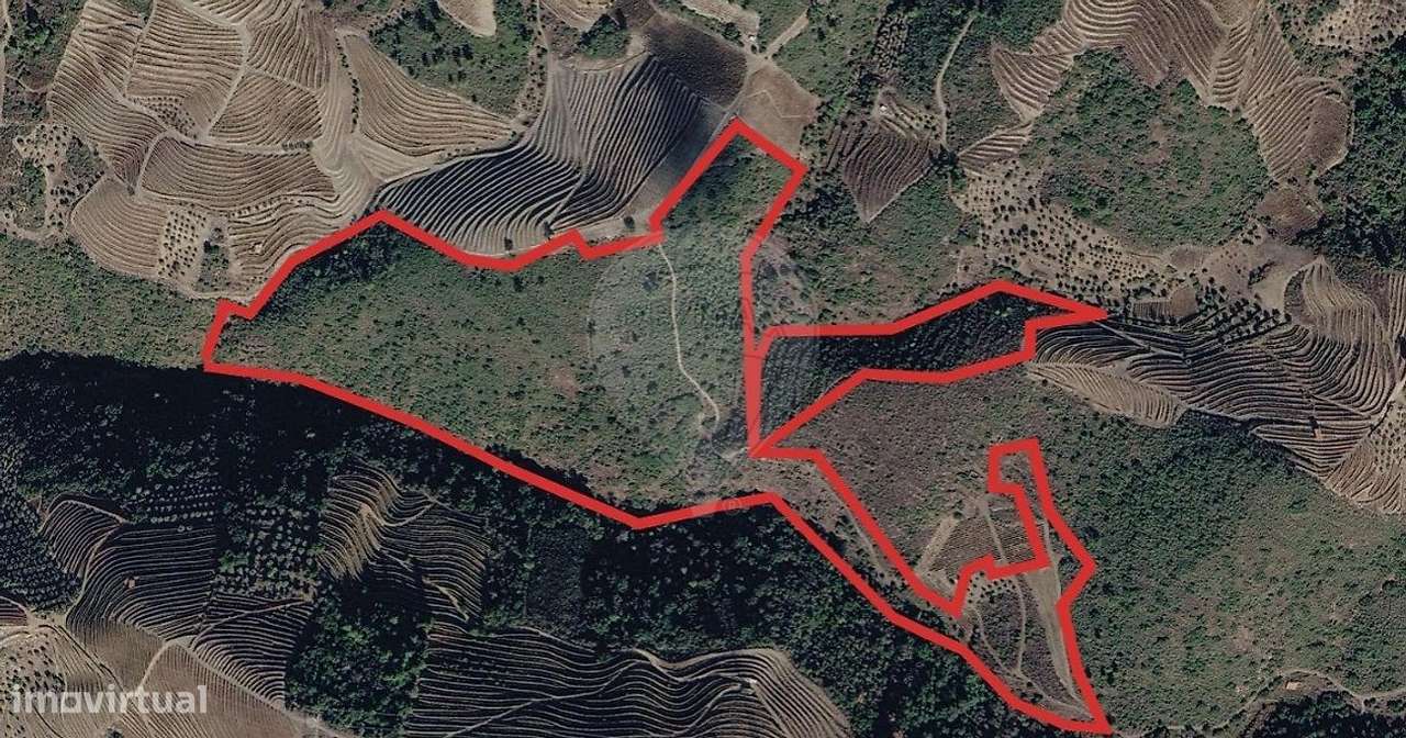 Terreno  para venda-3