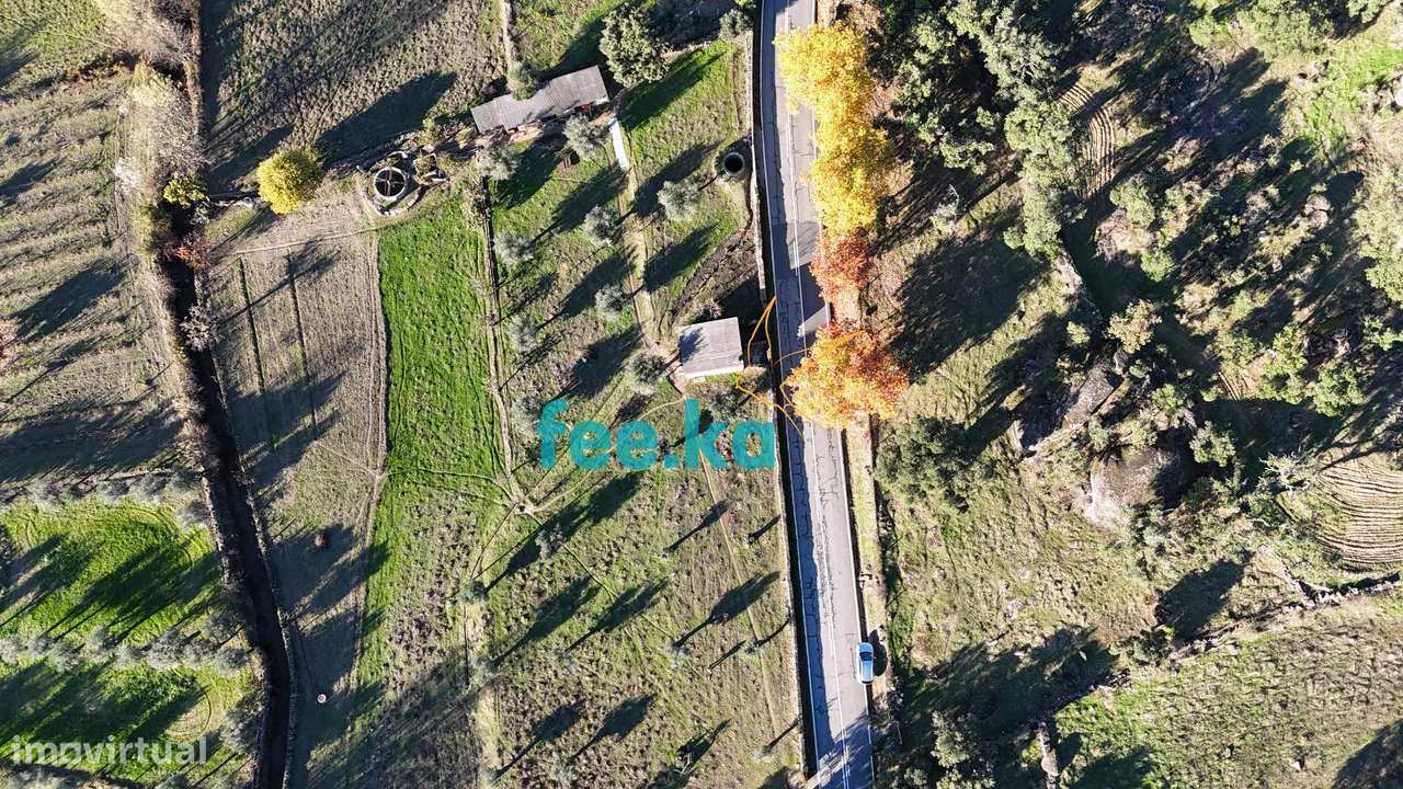 Quinta em Escalos de Baixo-29