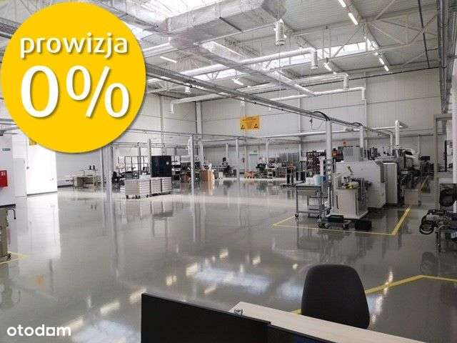 Hala/Magazyn, 5 500 m², Skwierzyna - Pełny obrazek: 4/7