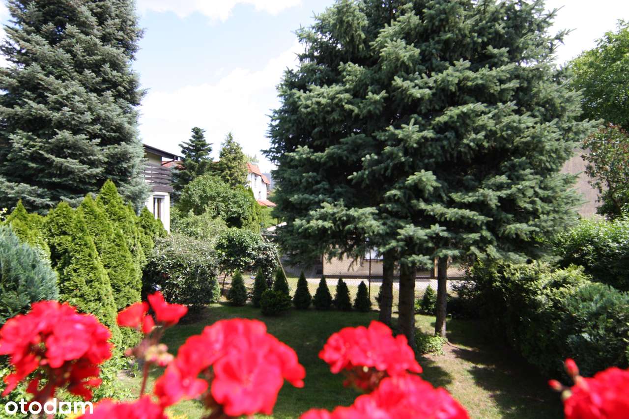 Przestronny dom z garażem i piwnicą, Świetna okazja na FLIP!-5