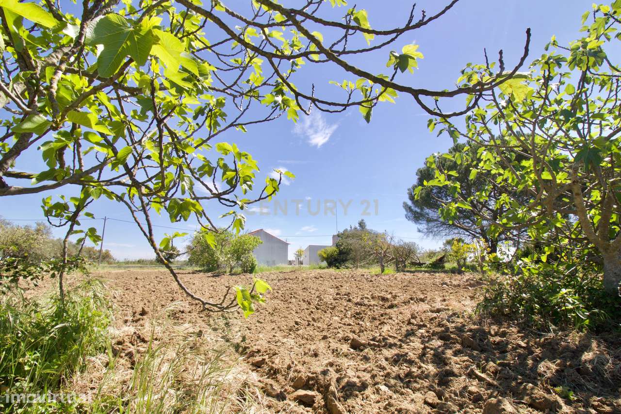 Monte Alentejano em São Manços- Évora com 20750 m2 - Grande imagem: 5/60