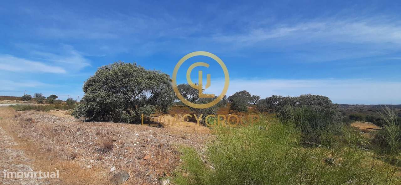 Terreno Rústico Azinhal / Castro Marim-9