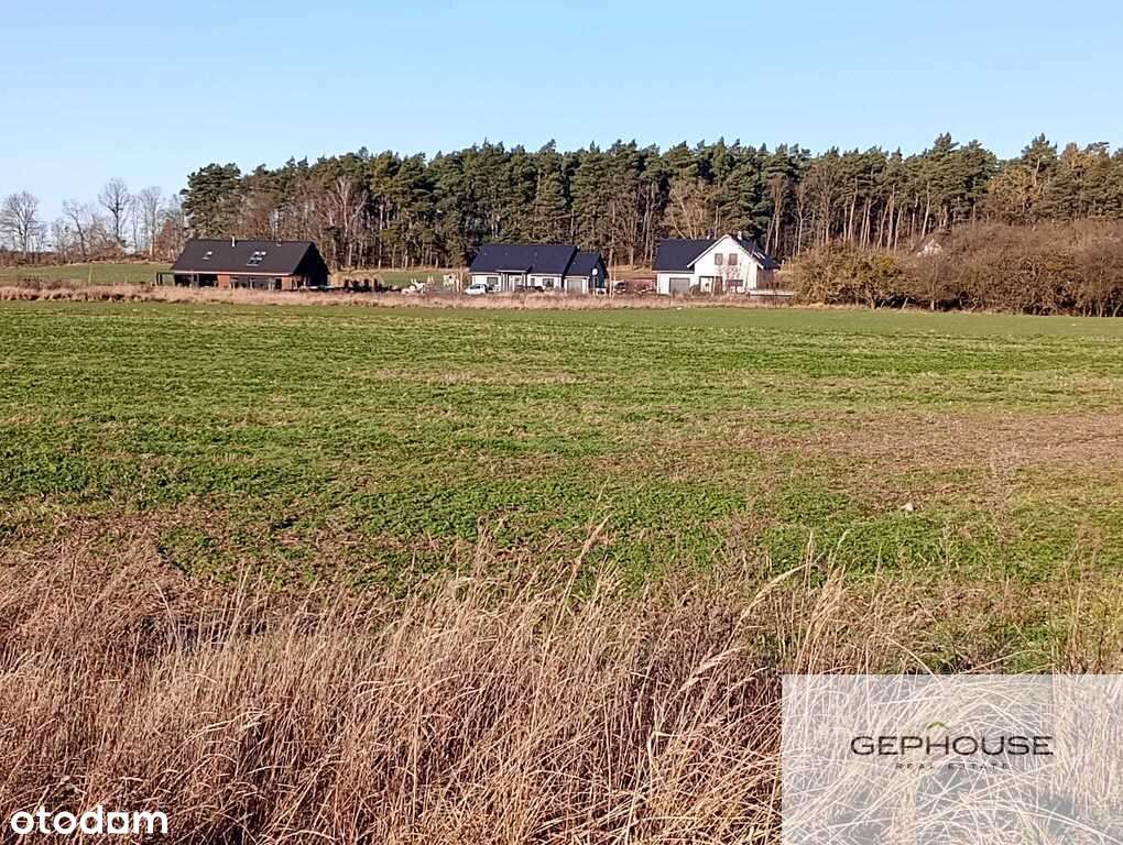 Duża działka blisko miasta-0