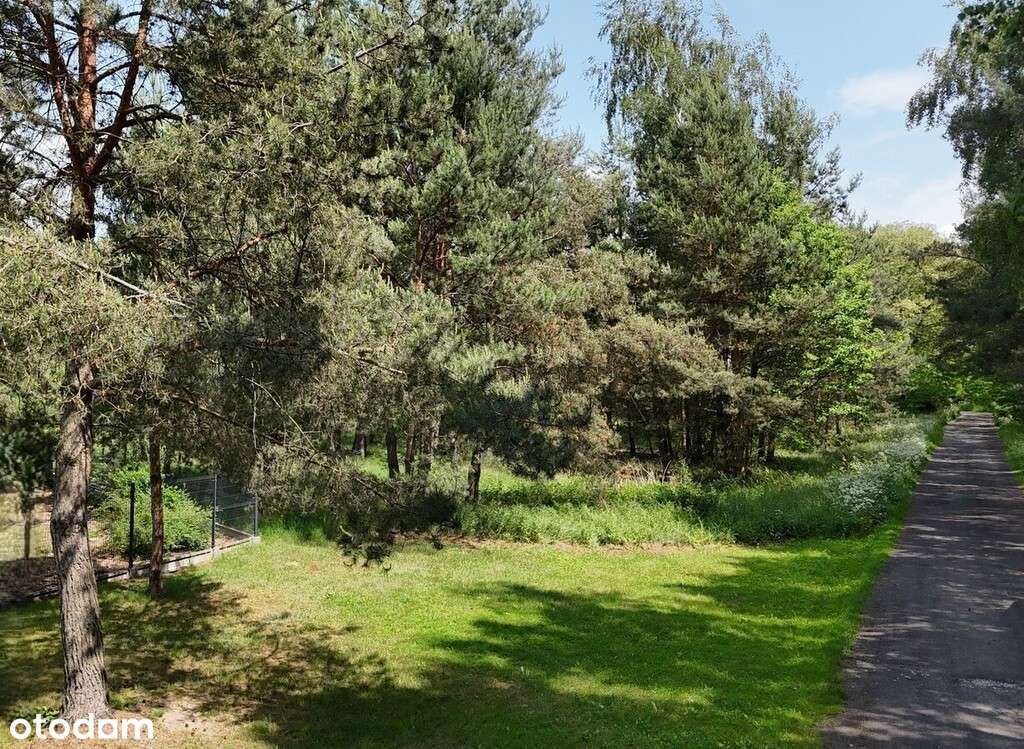 Działka budowlana z lasem - Janków Drugi - Pełny obrazek: 2/8