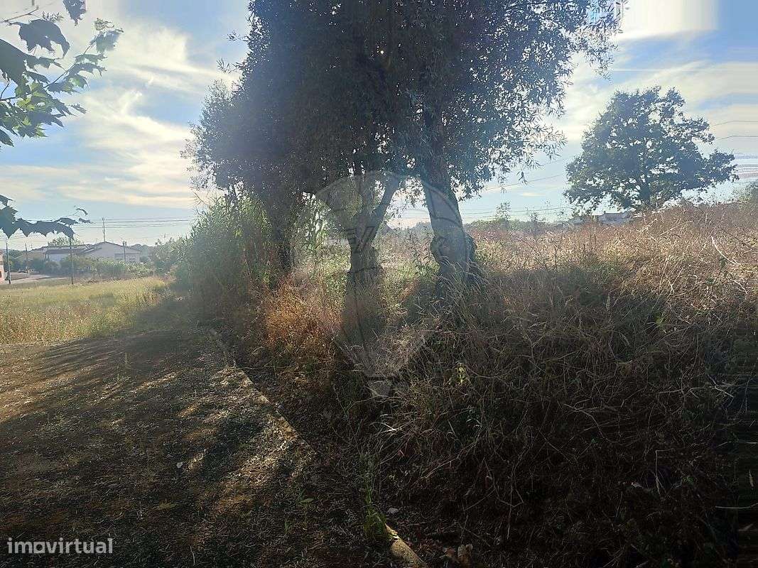Terreno  para venda-7