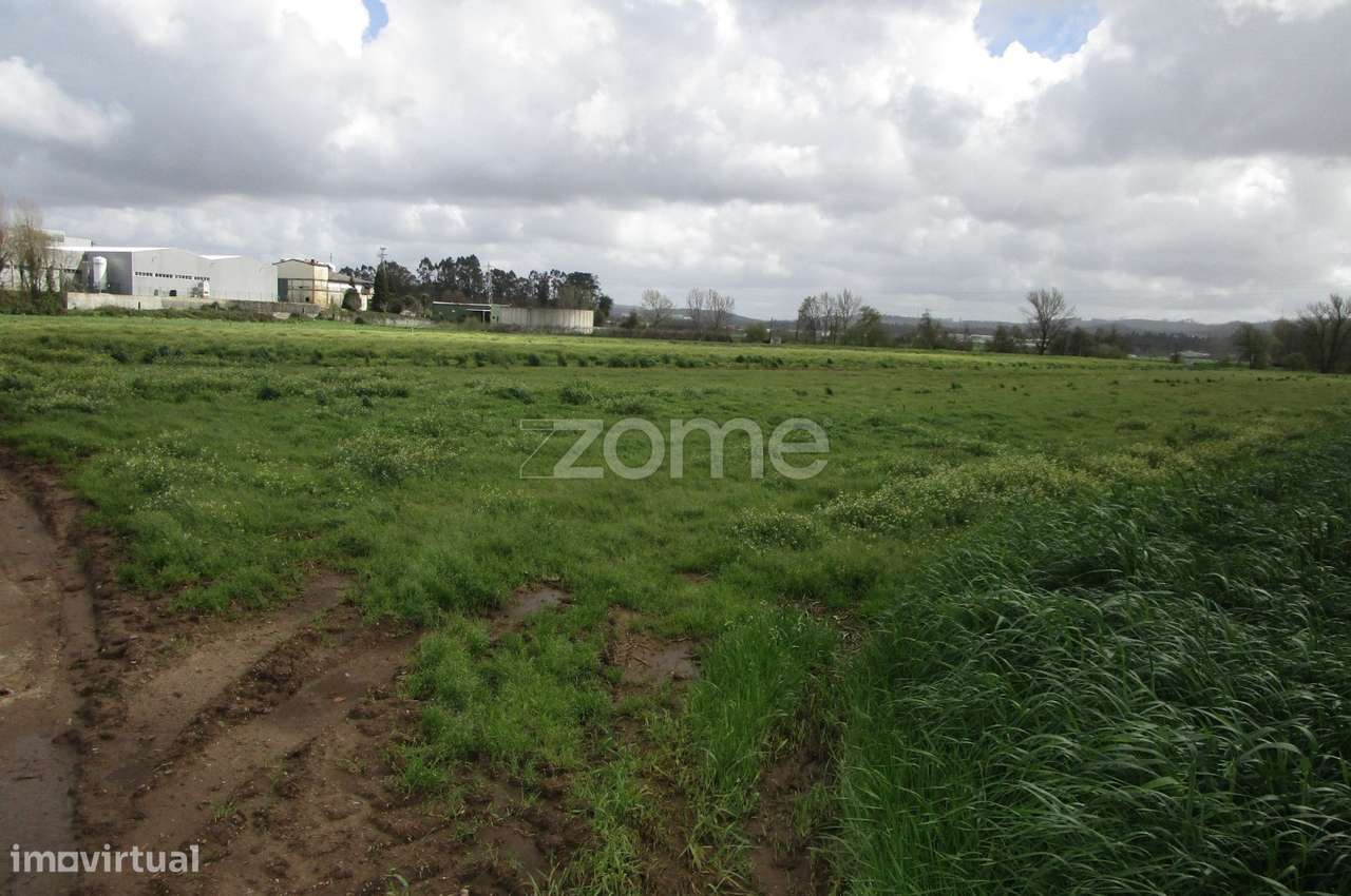 Terreno rústico com 2.700 M2 a 100m do rio ave, em Fradelos - Grande imagem: 4/15