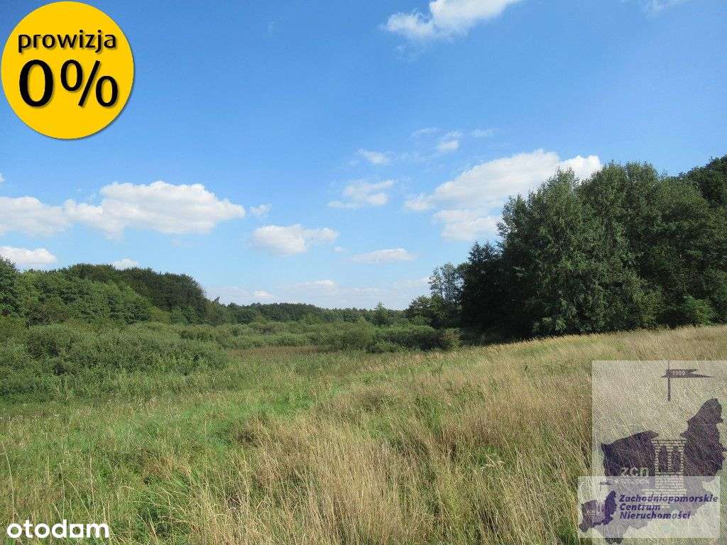 Działka nad jeziorem Woświn-8