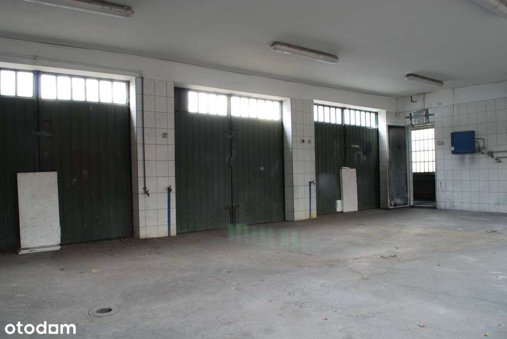 Warsztat samochodowy w centrum Mikołowa - Pełny obrazek: 5/10