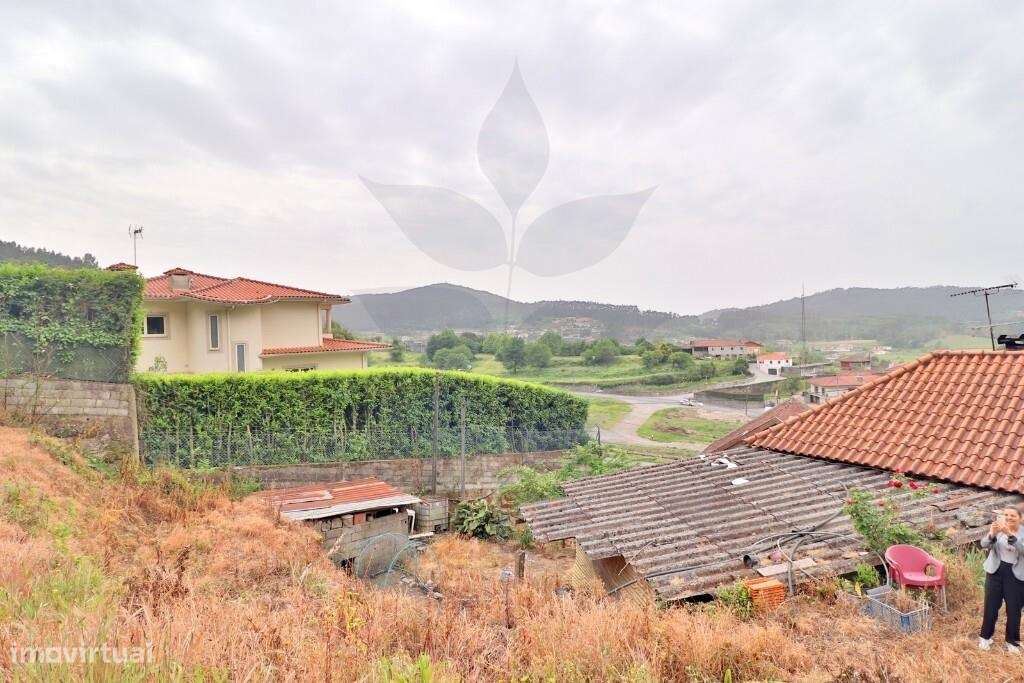 Duas Moradias em Escudeiros c/ aprox. 3.200m2 de terreno-7