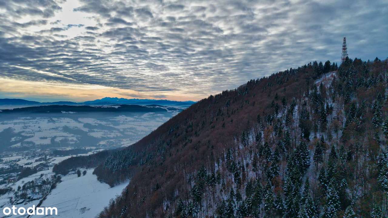 Działka, 3 000 m², Chomranice - Pełny obrazek: 3/6