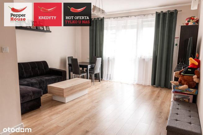 Oferta w przygotowaniu- duże mieszkanie z ogrodem-0