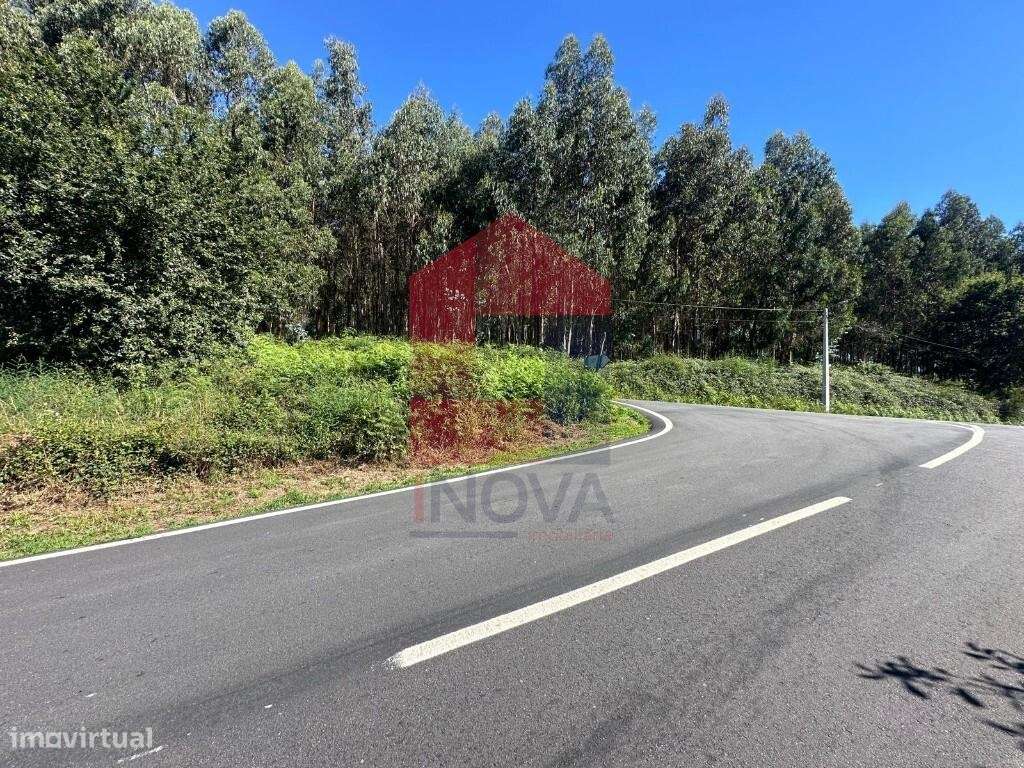 Terreno florestal, Esqueiros - Grande imagem: 5/17