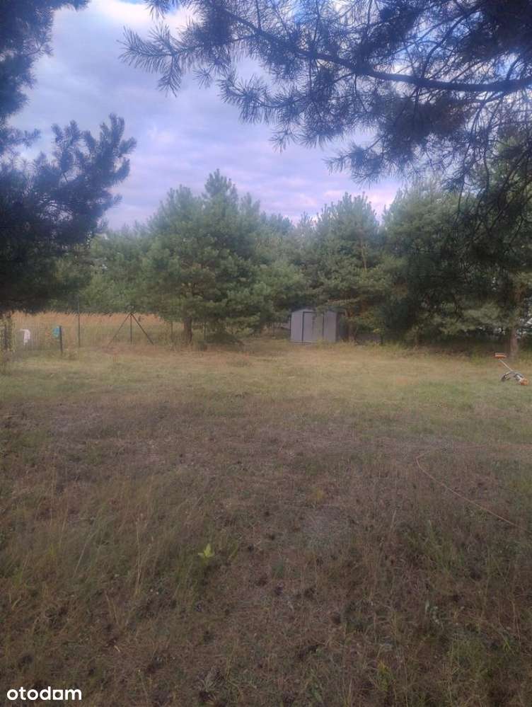 Piękna działka w Rakowni Gmina Murowana Goślina-5