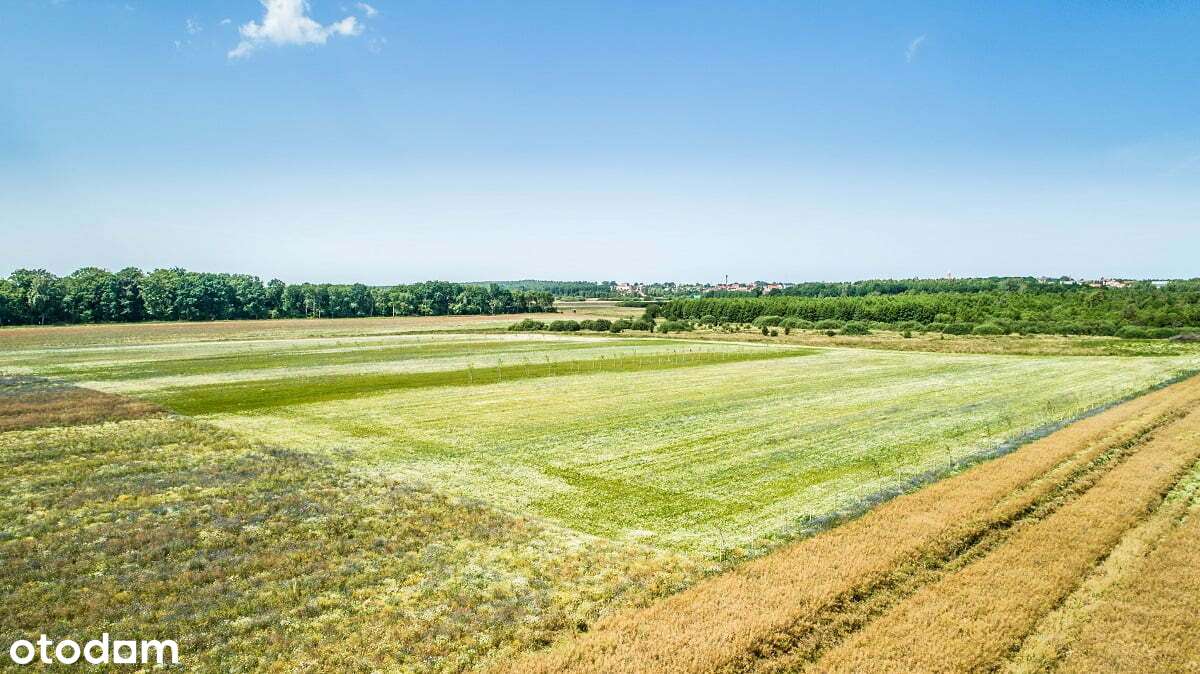 Budowlana w MPZP - bez podatku PCC - transze 2 lata bez odsetek-5