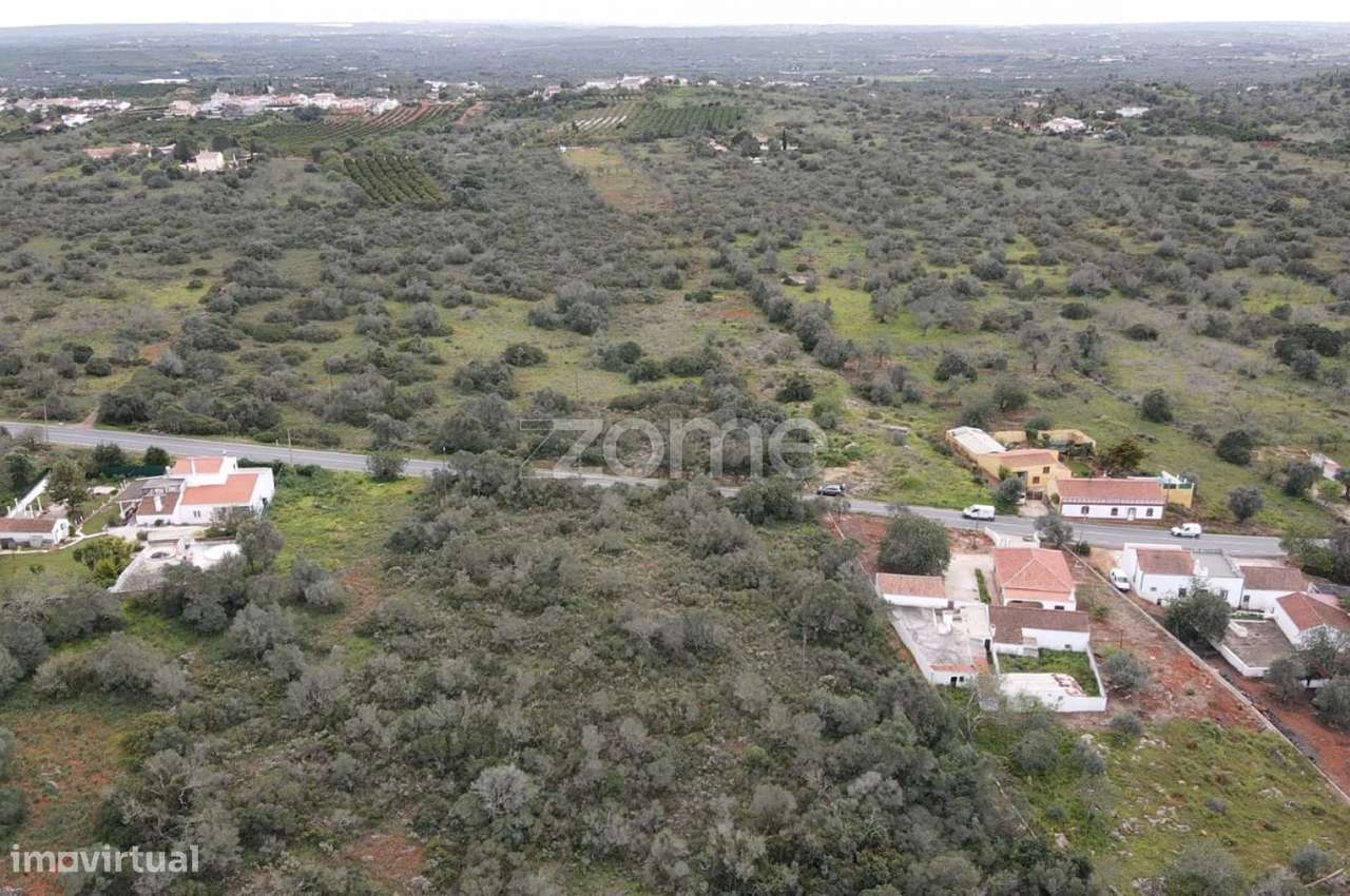 Terreno rústico c/ 20.520m2 na Charneca da Cumeada, Messines - Grande imagem: 5/16