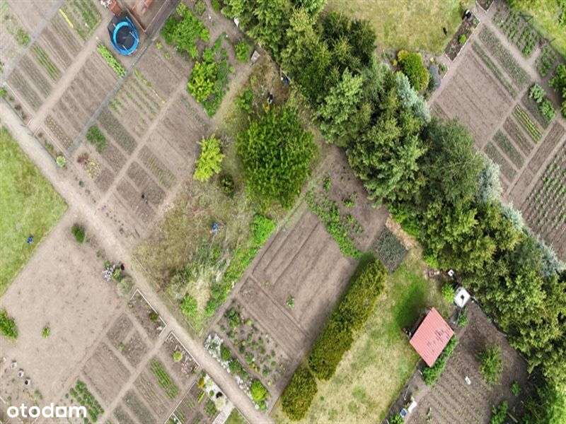 Oferta Zawieszona-12