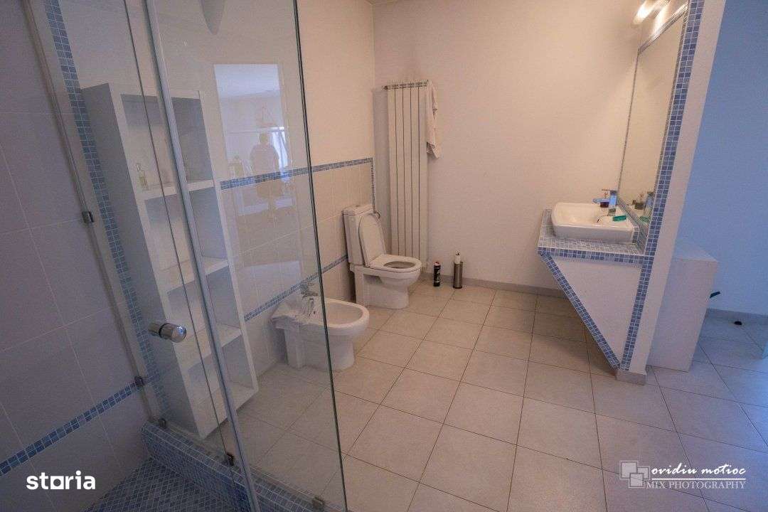 Hale cu deschidere la drumul european-17