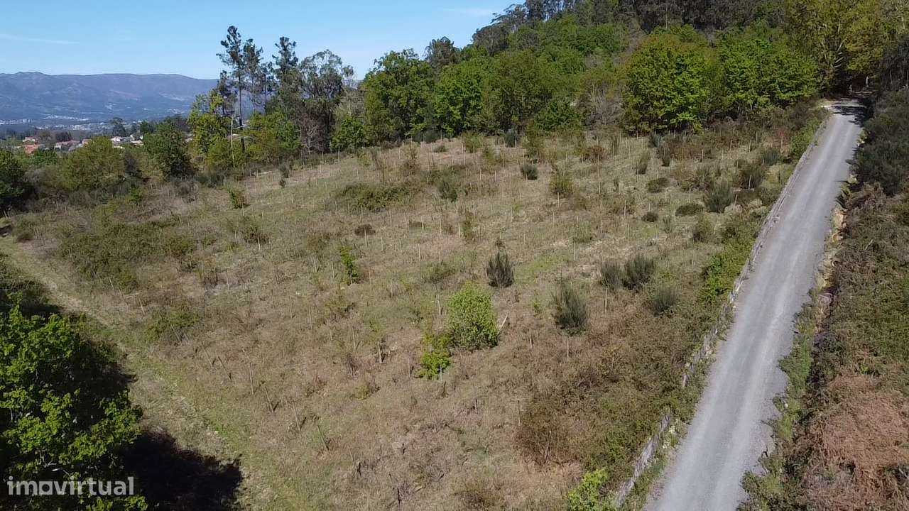 Terreno – Vouzela-15