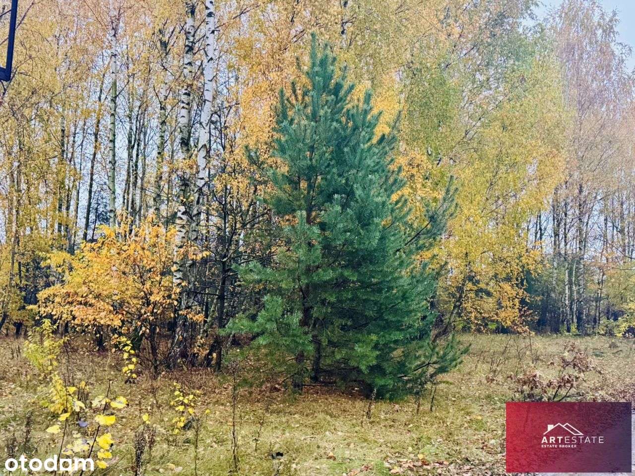 Działka Budowlana Słowak gm. Aleksandrów Ł.-18