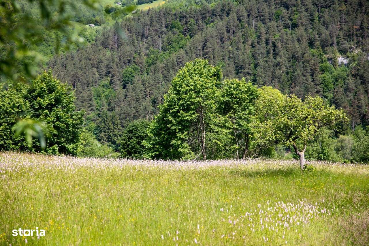 Teren intravilan - 1.050 mp în Bran cu utilitati – priveliște Bucegi-8