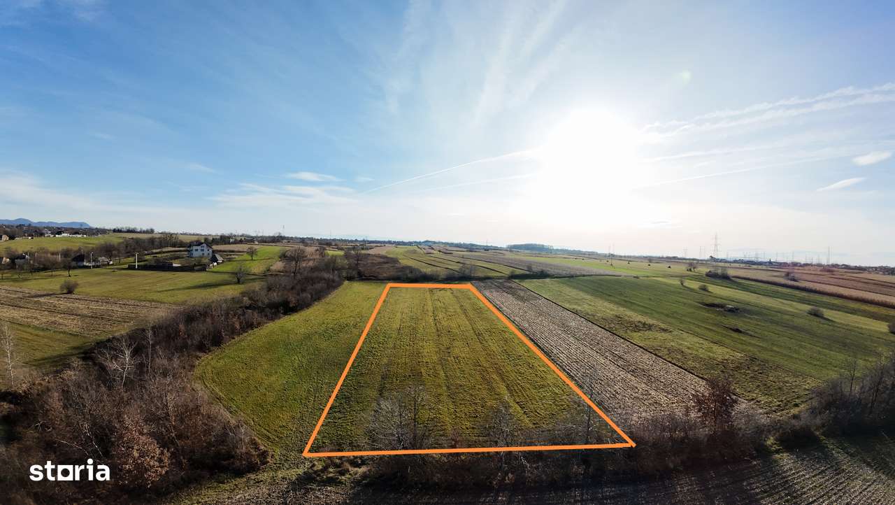 Teren extravilan 5.350 mp Baia Mare limitrof – front 39 m, drum acces - Imagine principală: 4/6