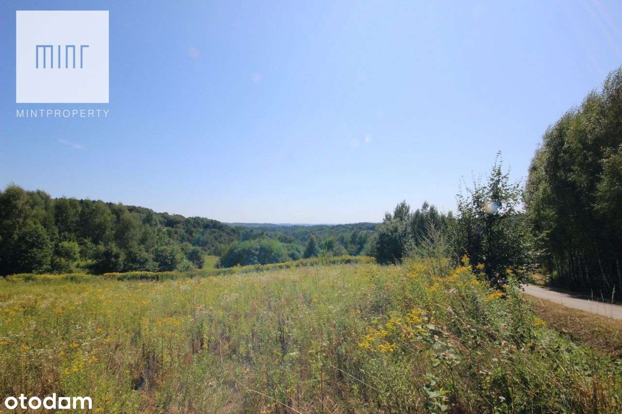 Działka , Gębiczyna - Pełny obrazek: 4/9