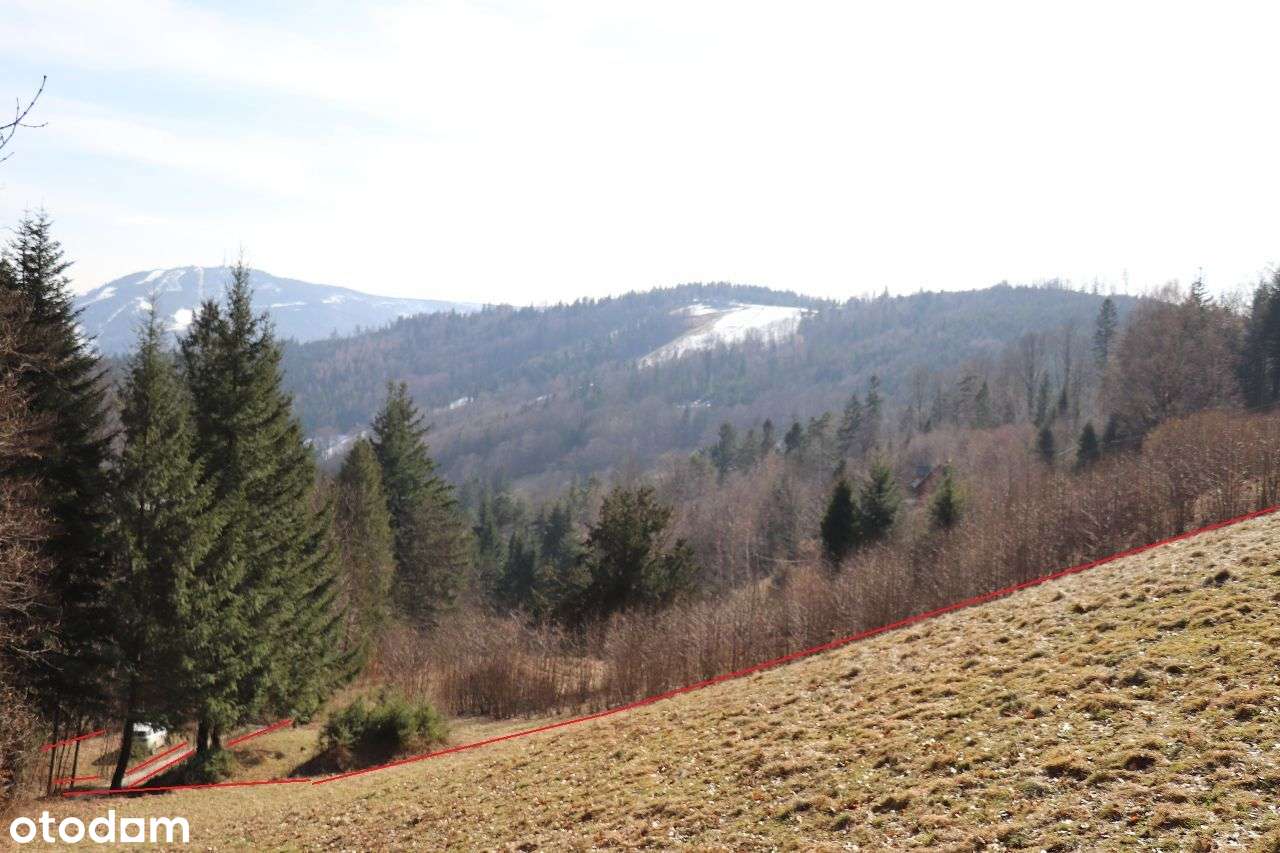 Twoja satysfakcja, z dala od zgiełku - Pełny obrazek: 5/14