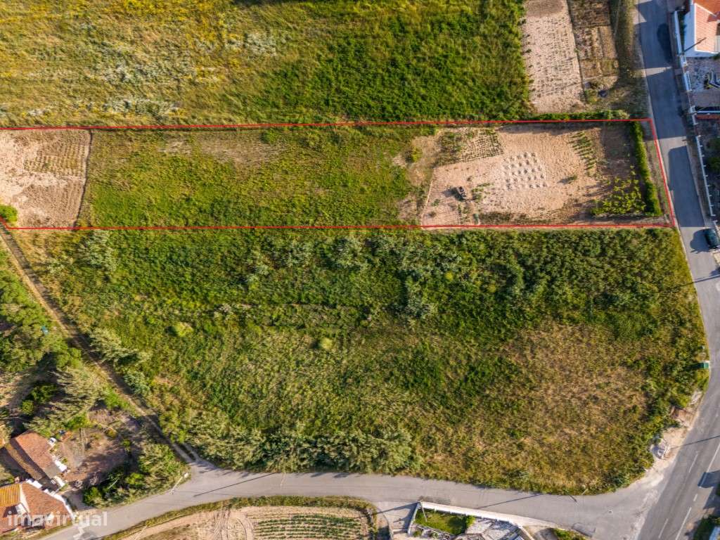 Terreno para construção entre a Foz do Arelho e São Martinho do Porto - Grande imagem: 2/13