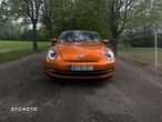 Volkswagen Beetle - 5