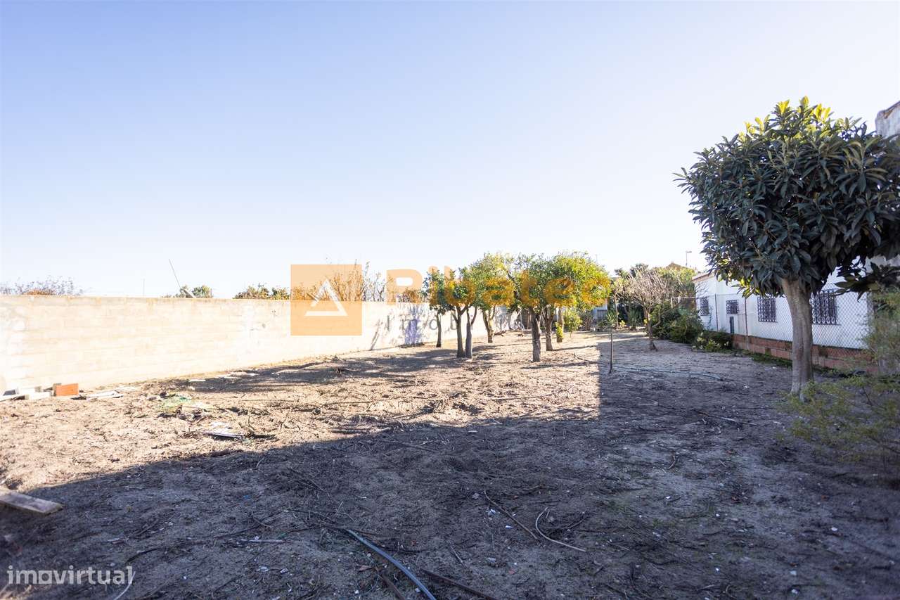 Moradia T3 Venda em Salvaterra de Magos e Foros de Salvaterra,Salvater-25