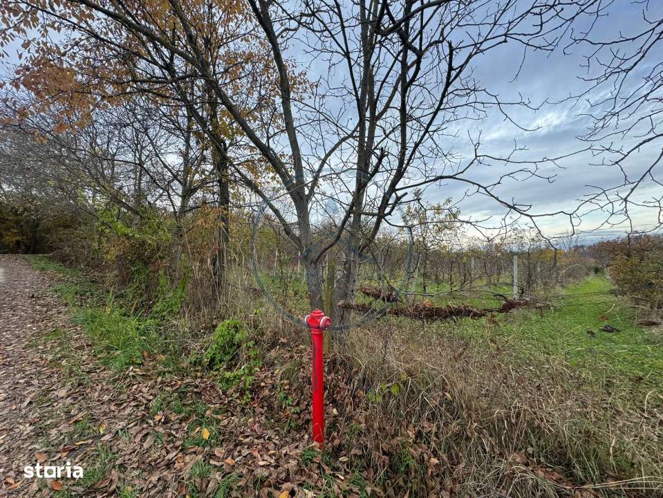 Teren intravilan 3.000 mp, 2 fronturi, Valea Jelnei - Imagine principală: 2/3