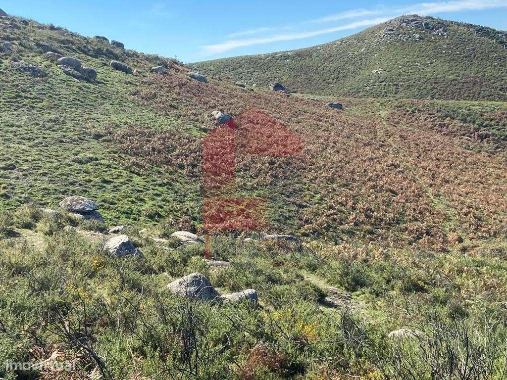 Terreno Florestal, Valdreu - Grande imagem: 4/7