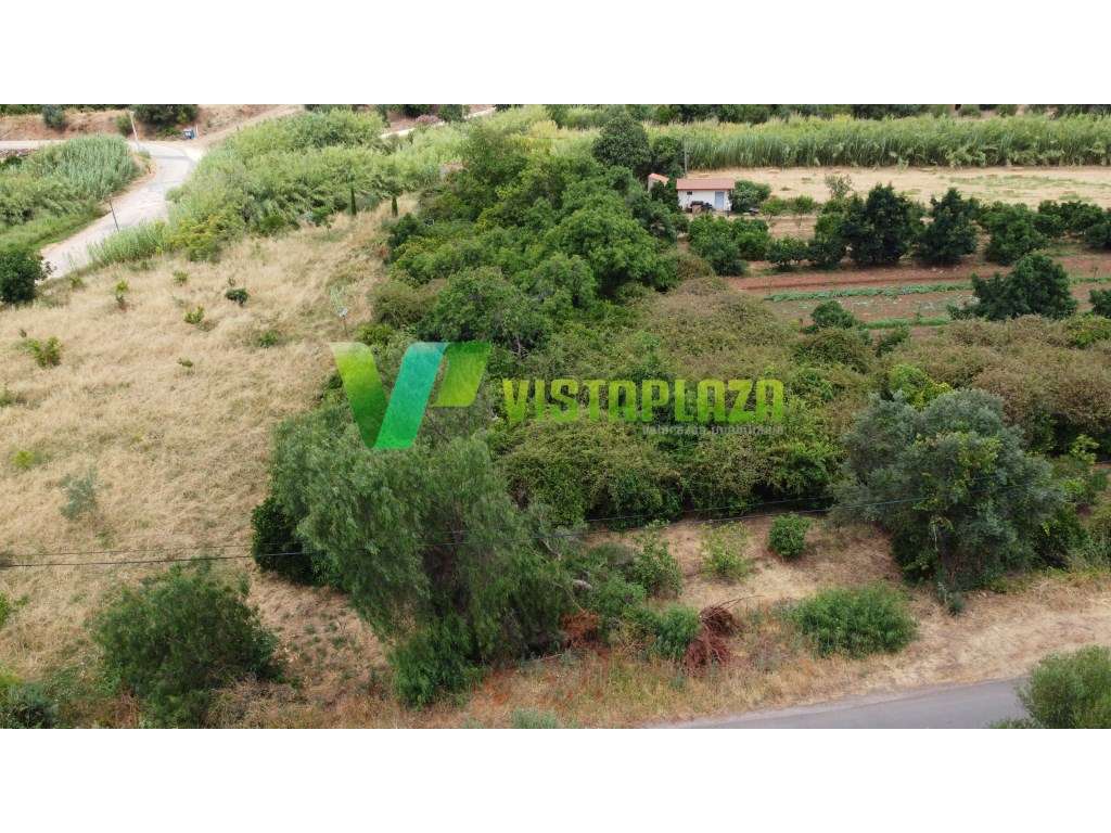 Terreno Rustico em Santo Estevão - Silves - Grande imagem: 5/28