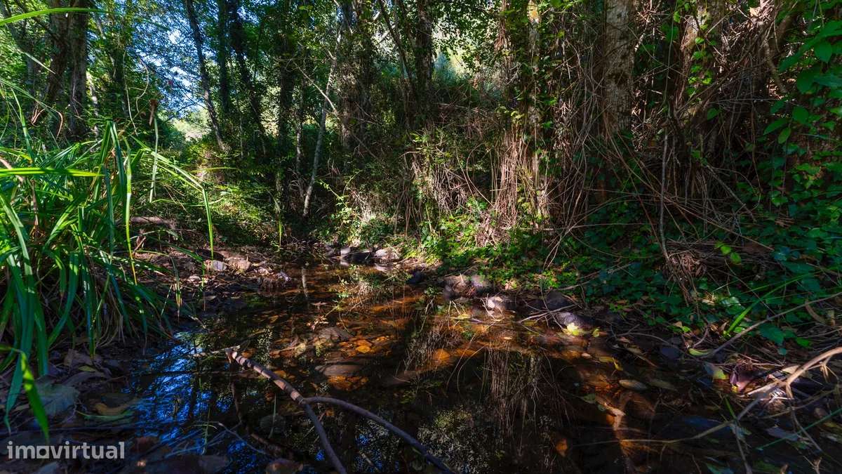 Quintinha T2 - Grande imagem: 3/11