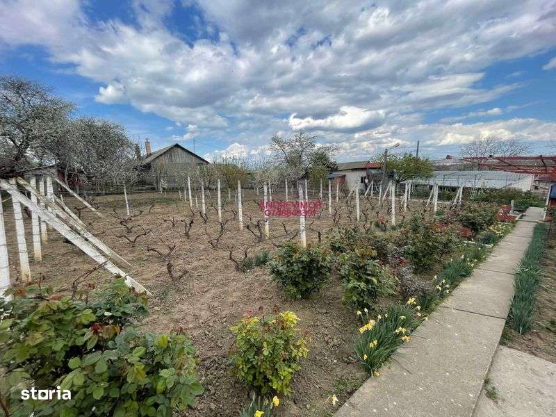 Super Casa De Vanzare In Mineri! - Imagine principală: 5/8