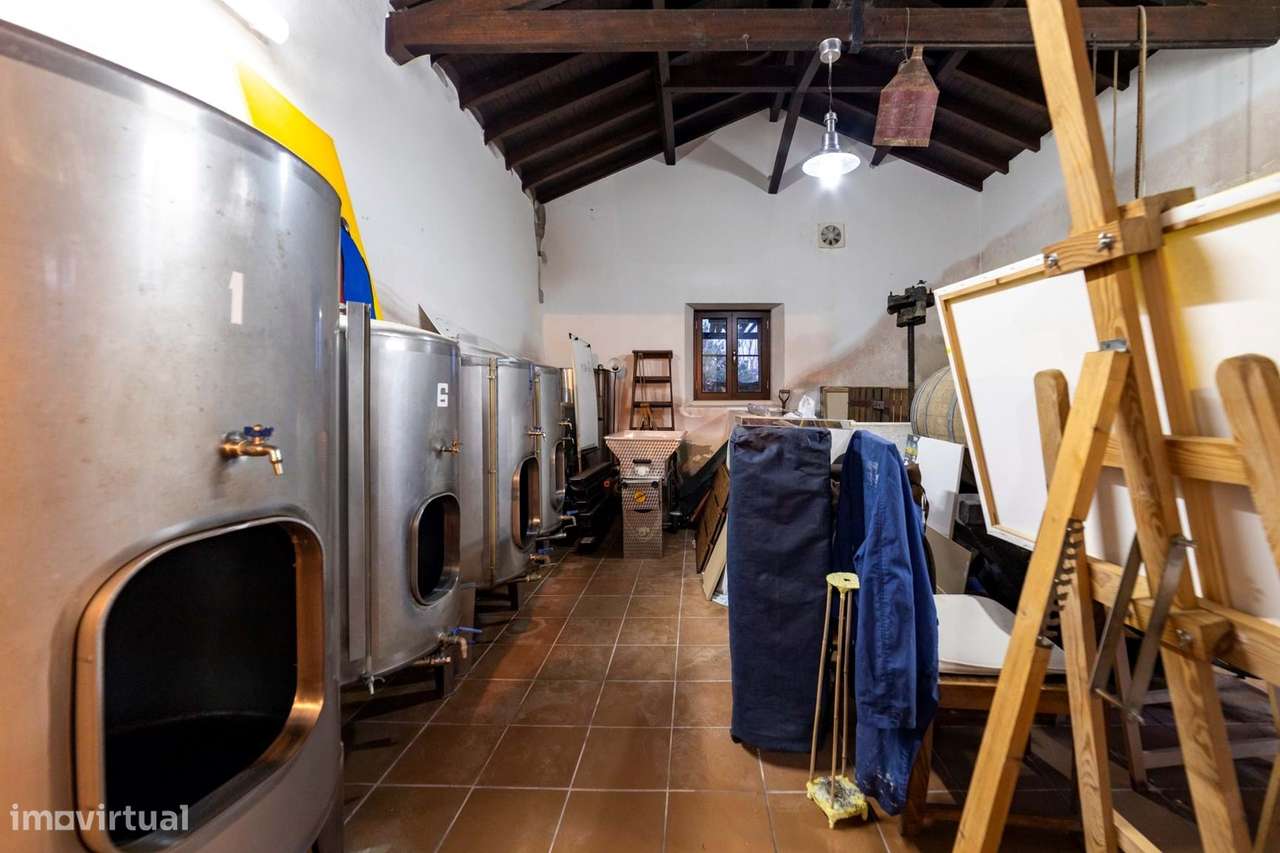 Moradia T4 Venda em Ereira e Lapa,Cartaxo-50