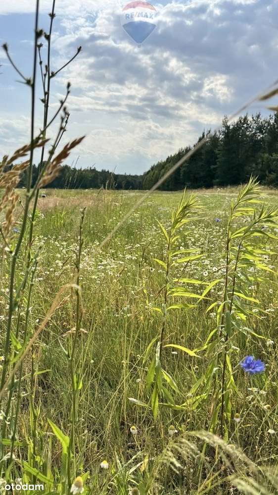 Atrakcyjna działka budowlana w otoczeniu lasu. - Pełny obrazek: 4/9