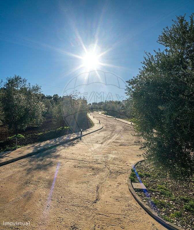 Quinta T10 para venda - Grande imagem: 4/50