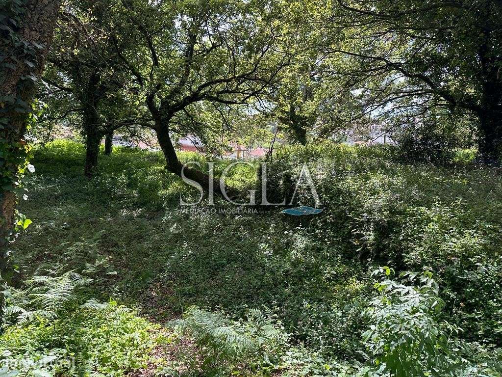 Terreno para construção de moradia - Grande imagem: 2/9