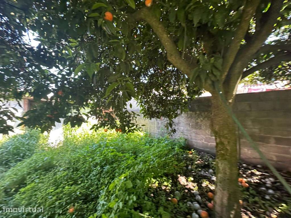 Moradia tipologia T2-5