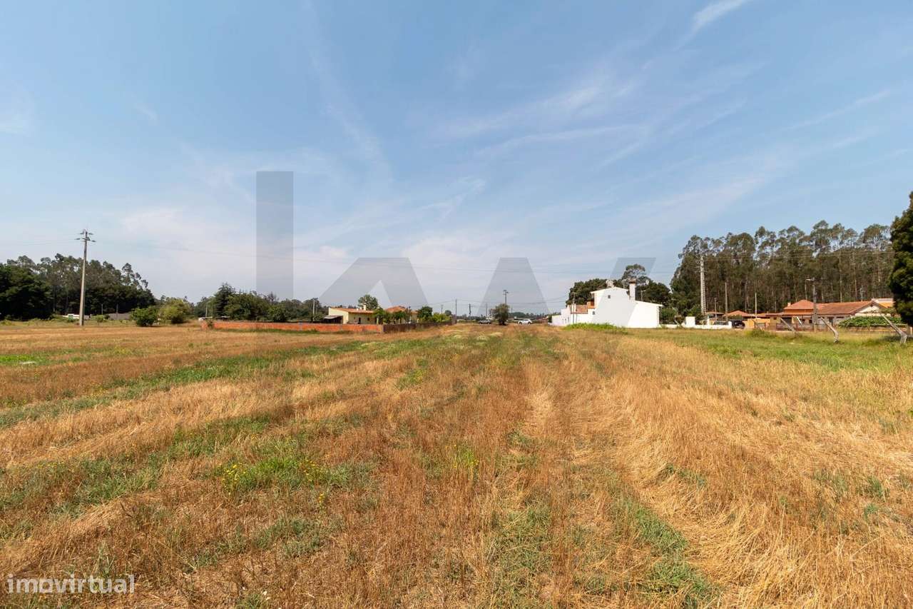 Terreno com Potencial para 2 Moradias | 3.600 m2 | Excelente Localizaç-11