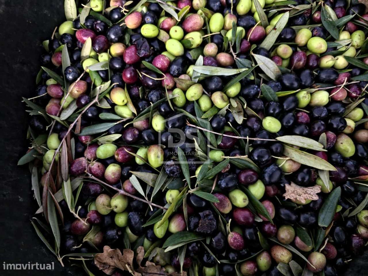 Quinta T4 Venda em Fontelas,Peso da Régua-46