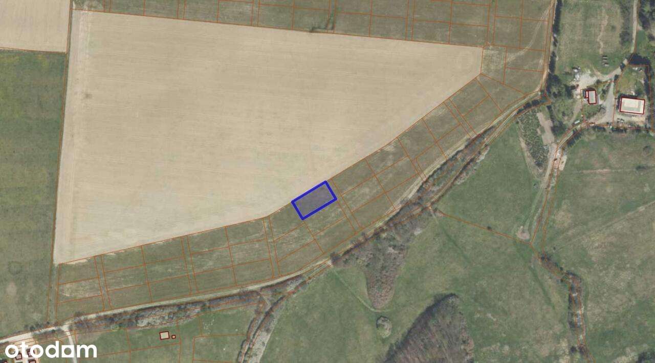 Stary Wielisław - działka budowlana. - Pełny obrazek: 5/5