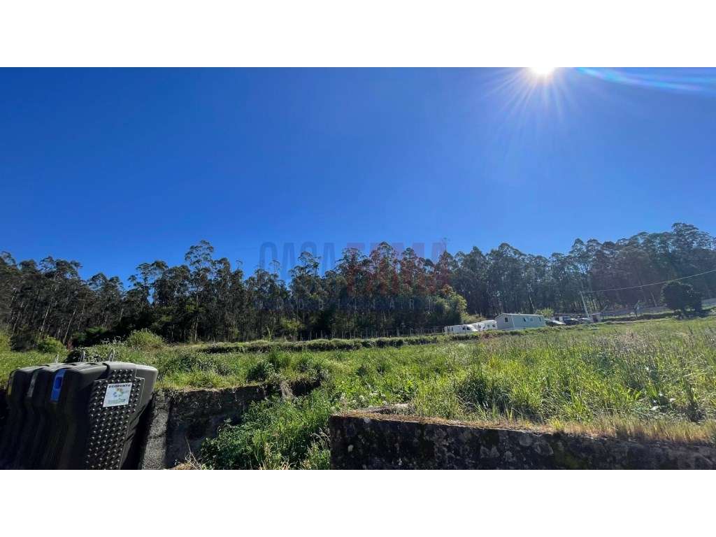 Terreno Agrícola à Venda em Pereira, Barcelos - Grande imagem: 5/17