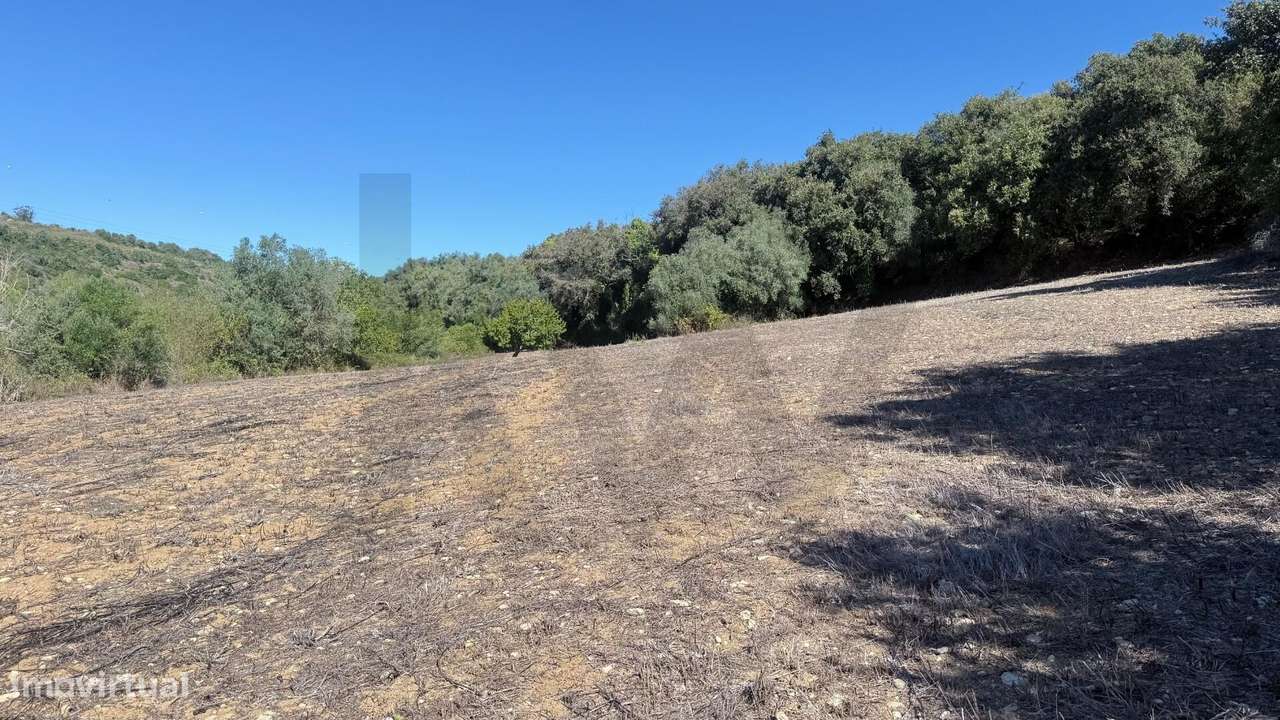 Terreno Rústico Plano com Ribeiro – Venda do Pinheiro / Mafra - Grande imagem: 4/23